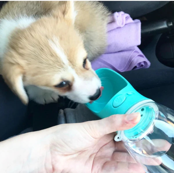 Water Bottle For Dogs