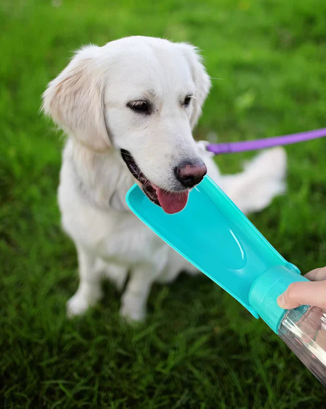 Portable Dog Water Bottle with Integrated Drinking Bowl, 550ml