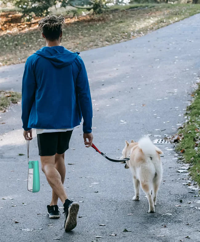 Portable Dog Water Bottle with Integrated Drinking Bowl, 550ml