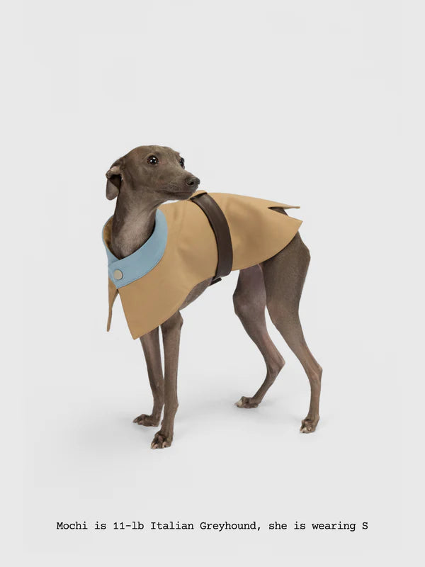 Water-repellent Trench Coat