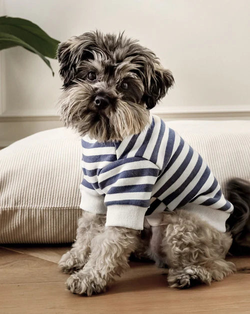 Charcoal Striped Dog Sweatshirt