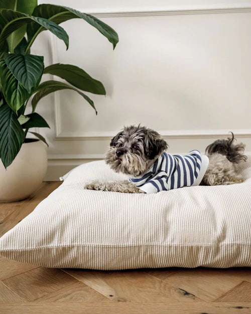 Charcoal Striped Dog Sweatshirt