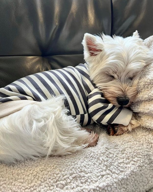 Charcoal Striped Dog Sweatshirt