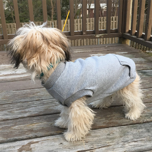 Fashion Pet Sweatshirt Medium